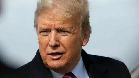 Трамп теряет рычаги: Запад назвал его угрозы России блефом
