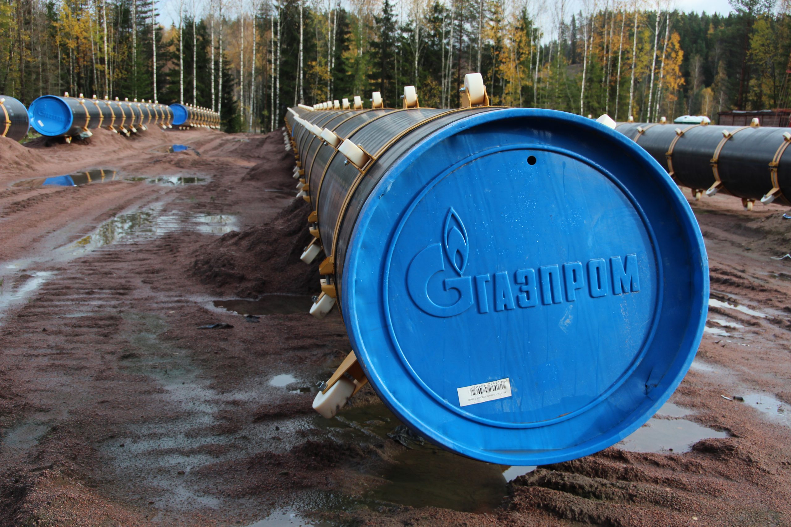 ЕС ищет выход: как отказаться от российского газа без штрафов